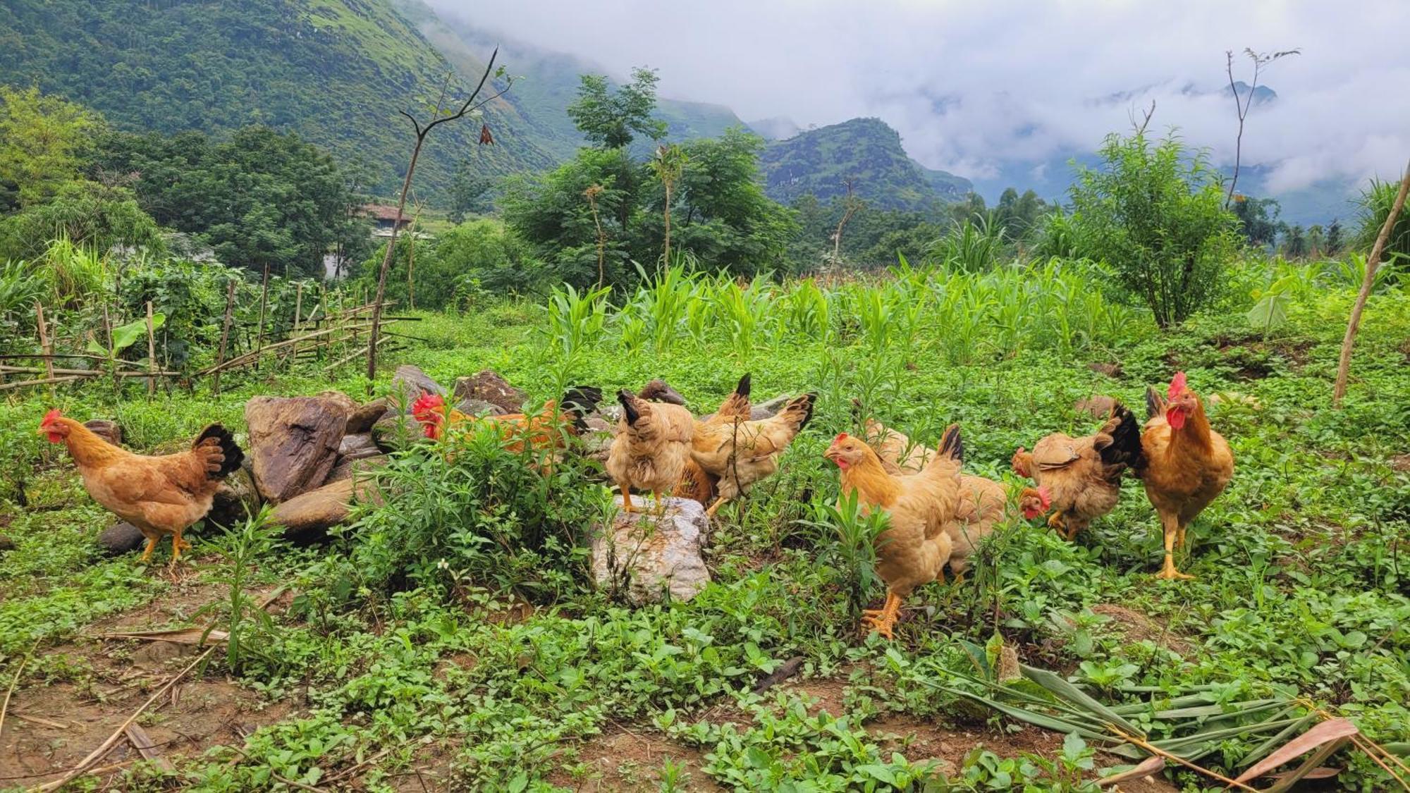 Du Gia View Homestay Làng Cac Oda fotoğraf
